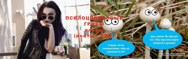 spice Баксан