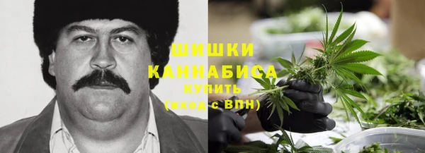 сатива Балабаново
