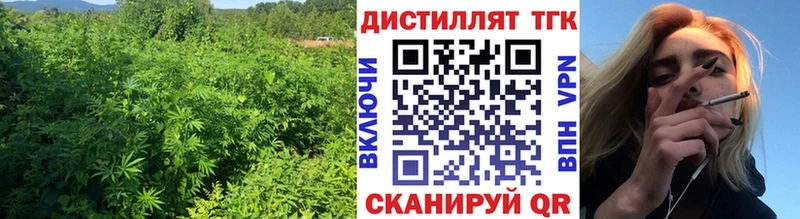 дарнет шоп Ясногорск Дистиллят ТГК THC oil