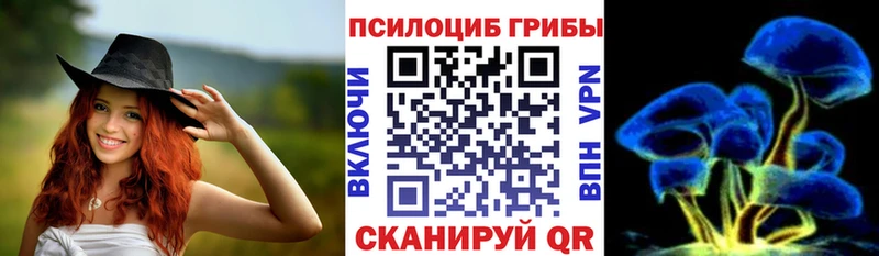 магазин продажи наркотиков  MEGA зеркало  Галлюциногенные грибы Psilocybe  Ясногорск 